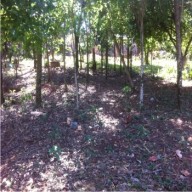 Propiedad Especial de 7200m2