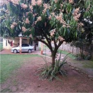 CASA CON 3 DORMITORIOS